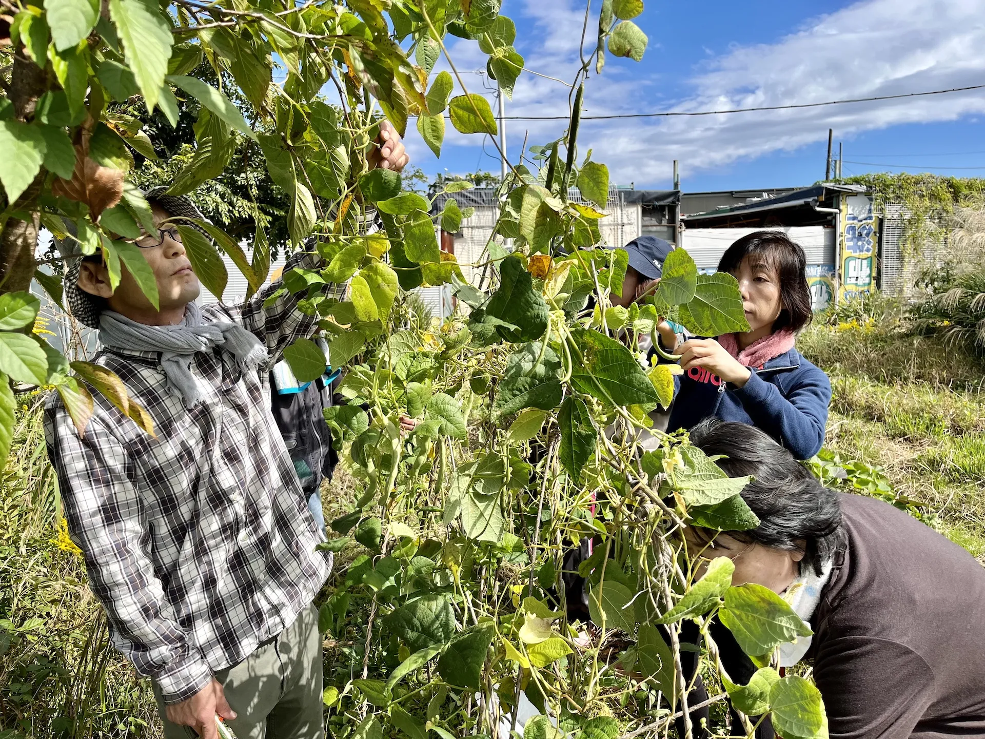 【農業体験@神奈川】農作業が増える理由は、中3理科で習ったア...